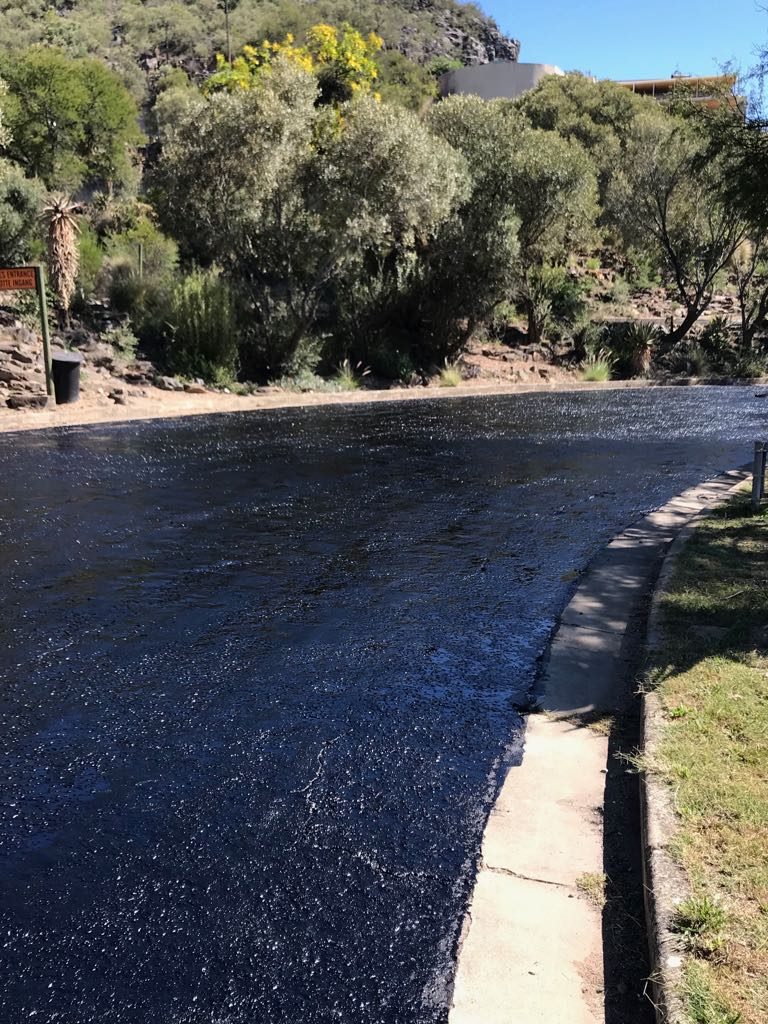 IMG-20180606-WA0010
